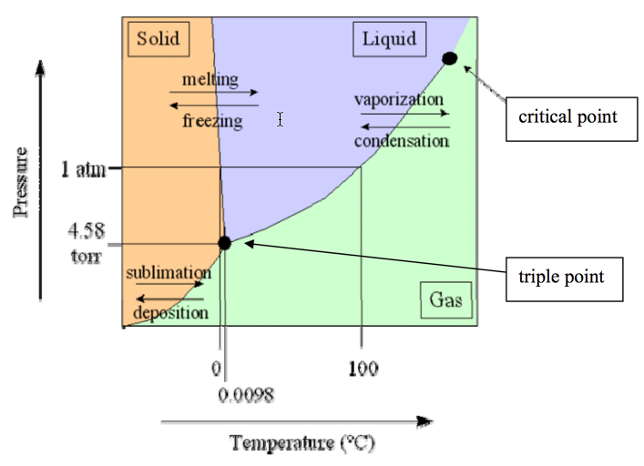 Lab -60℃ Freeze Dryer Large-scale Multi-Manifolds Vacuum Sublimation  Lyophilizer